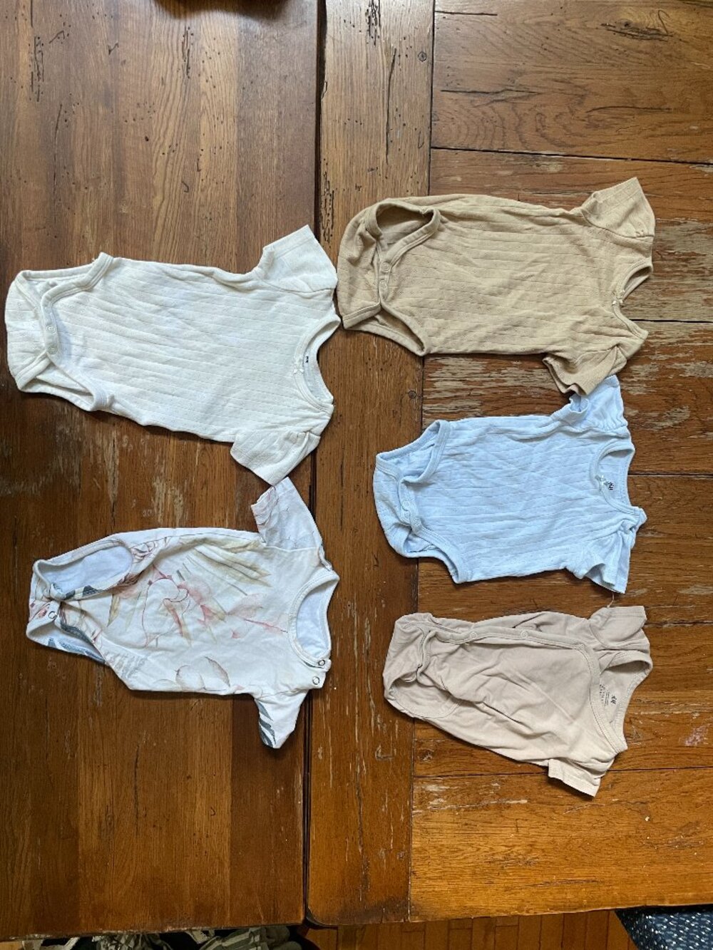 Lot of 5 - Bodysuits - H&M and Olio - Size 3-6M